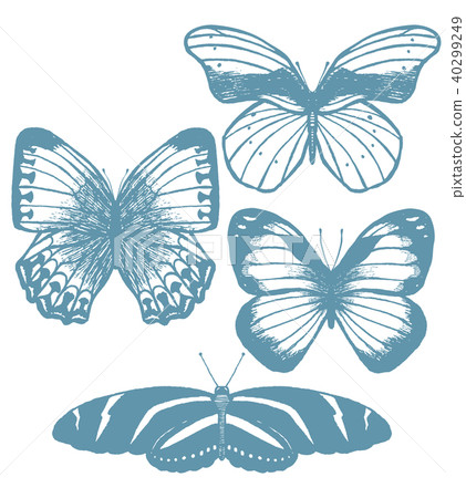 Set of Butterflies in Hand-Drawn Style Set of Butterflies in Hand-Drawn Style 40299249