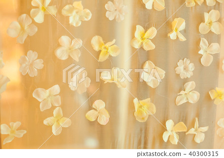 White Flower Petals Wedding Backdrop Background. 40300315