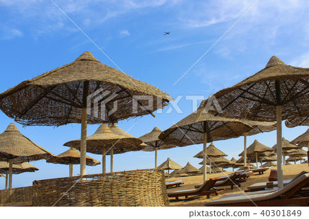 Beach on the Red Sea Beach on the Red Sea 40301849