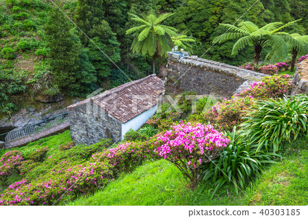 Garden on Sao Miguel island, Azores. It is located Garden on Sao Miguel island, Azores. It is located 40303185