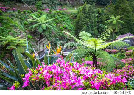 Garden on Sao Miguel island, Azores. It is located Garden on Sao Miguel island, Azores. It is located 40303188