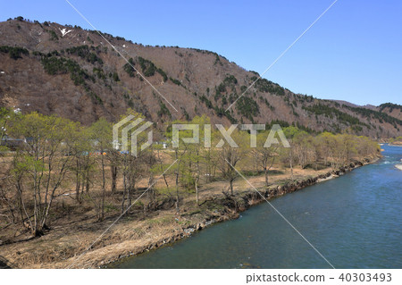 Fresh green of willow on the shore of the Inan River-from Kamamioka Bridge in Tami Town Fukushima Prefecture Fresh green of willow on the shore of the Inan River-from Kamamioka Bridge in Tami Town Fukushima Prefecture 40303493