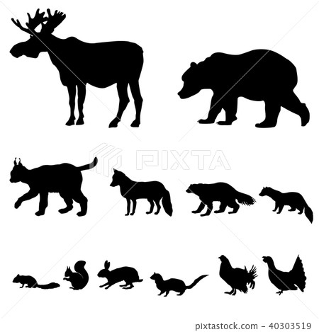 Animal living in european forest Wildlife icon set Animal living in european forest Wildlife icon set 40303519