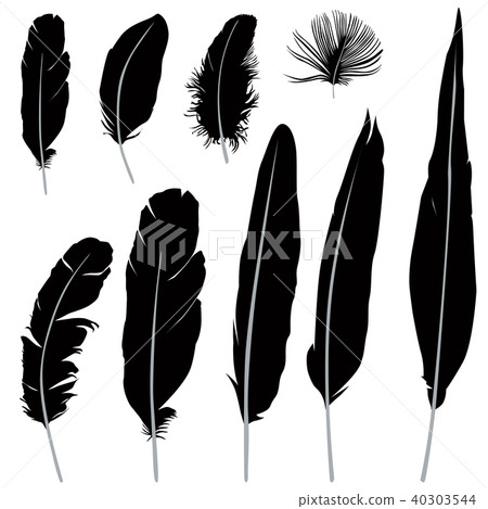 Feather set. Wild birds feather silhouette sign Feather set. Wild birds feather silhouette sign 40303544