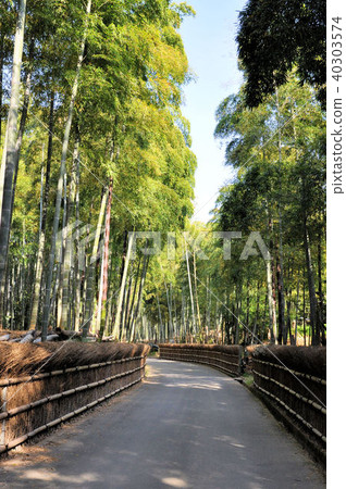 Sunflower city bamboo diameter Sunflower city bamboo diameter 40303574