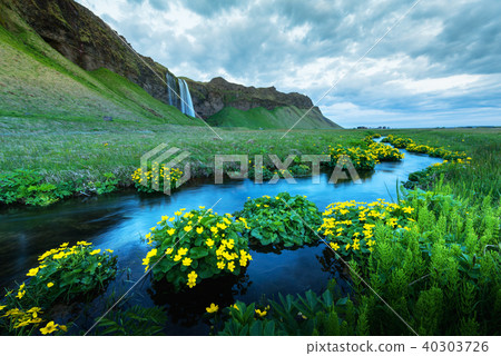 Sunrise on Seljalandfoss waterfall 40303726