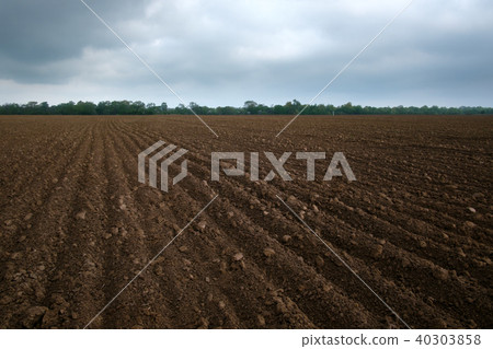 Agriculture field on spring time Agriculture field on spring time 40303858