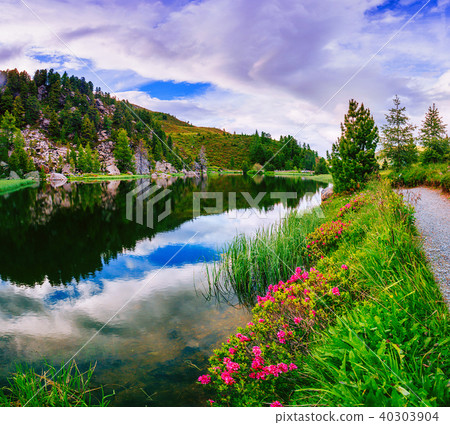 Glade with flowers near the water in the mountains Glade with flowers near the water in the mountains 40303904