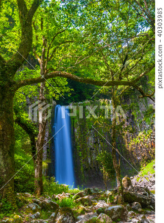 Kanome Falls / Hirataki _ Japan's top 100 waterfalls 40303985