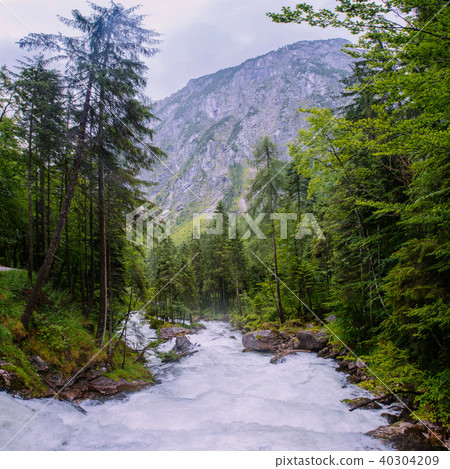 mountain stream in the woods 40304209