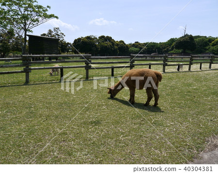 Mother farm farm tour Mother farm farm tour 40304381