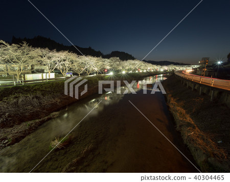 奈良縣Shibata Noko市場的櫻花烏達市 40304465