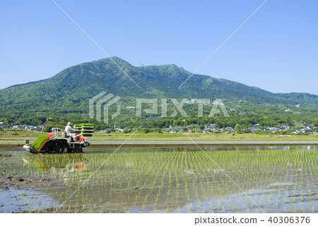 Planting rice in the foothills of Tsukuba 40306376