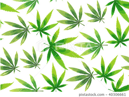 Marijuana leaves seamless vector pattern. - Stock Illustration ...