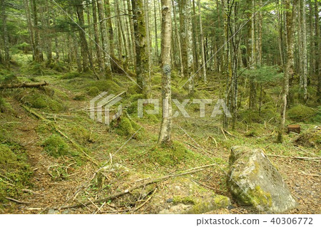 Yatsugatake foothills of Chino City, Nagano Prefecture Yatsugatake foothills of Chino City, Nagano Prefecture 40306772