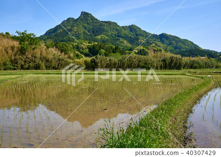 Chiba Prefecture Minamiboso City Iyogatake and rice field reflection Chiba Prefecture Minamiboso City Iyogatake and rice field reflection 40307429