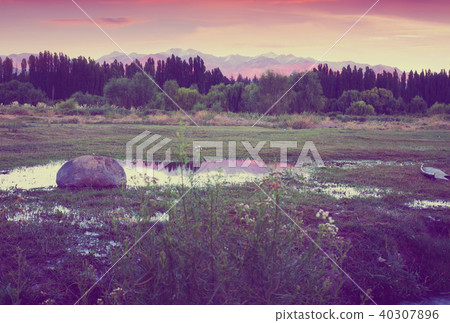 View of Andes mountains from green valley 40307896
