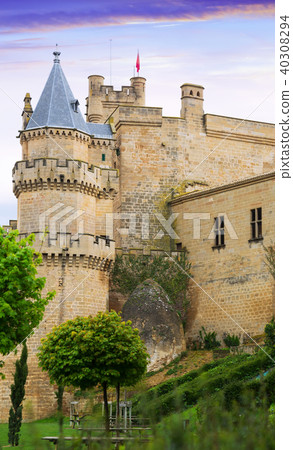 Palace of the Kings of Navarre at Olite Palace of the Kings of Navarre at Olite 40308294