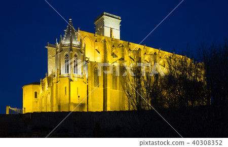 Basilica of Santa Maria de la Seu in Manresa 40308352
