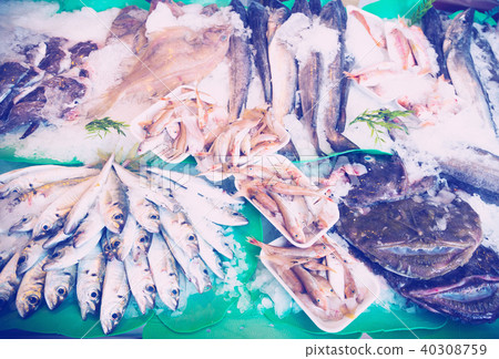 fresh fish on market fresh fish on market 40308759