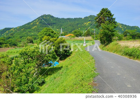 千葉縣南房總市路到富山 40308936