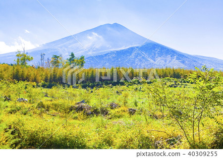 At Mt Fuji, Narusawa Village, Yamanashi Prefecture At Mt Fuji, Narusawa Village, Yamanashi Prefecture 40309255