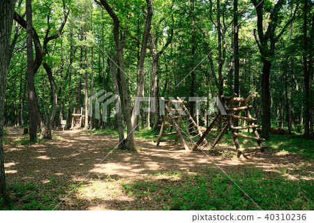 新鮮的綠色縣立船橋縣立森林 40310236