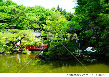 Owaki Kannon Bentendo 40310786