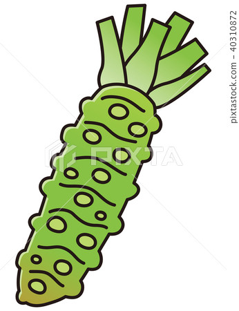 wasabi  40310872
