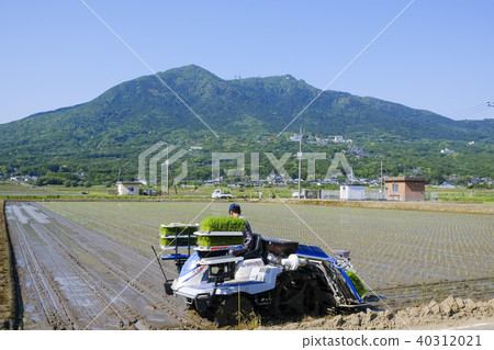 在筑波山麓種植水稻 在筑波山麓種植水稻 40312021