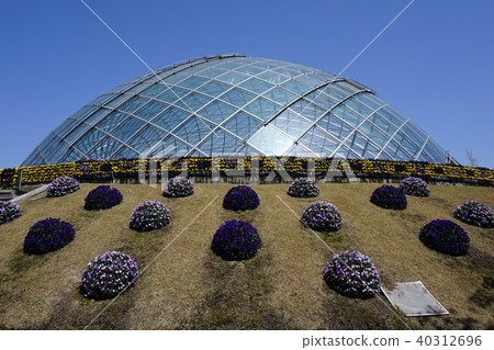 日本最大的花卉公園“Totori Flower Corridor”:Flower Dome 日本最大的花卉公園“Totori Flower Corridor”:Flower Dome 40312696