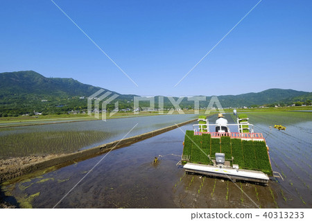 Planting rice in the foothills of Tsukuba 40313233
