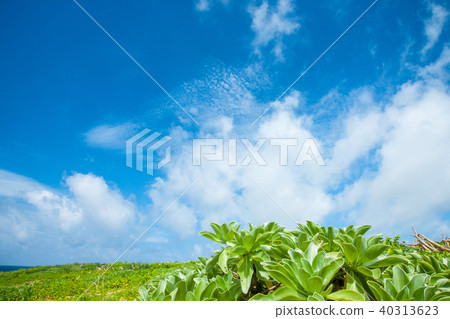 Hateruma島，日本最南端的島嶼 40313623