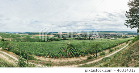 Winemaking in France panorama 40314312