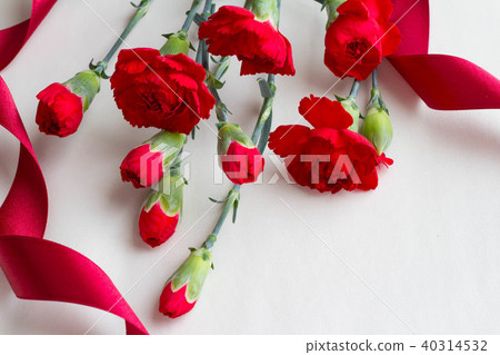 Mother's day image of red carnation and ribbon 40314532