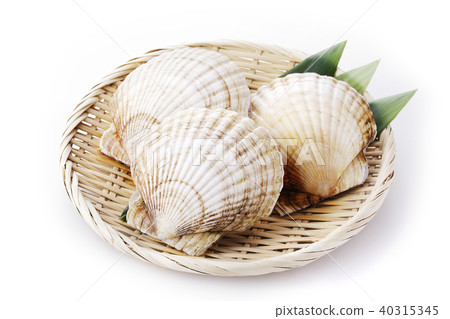 扇貝 40315345