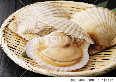 Scallop Scallop 40315356