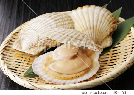 Scallop 40315363