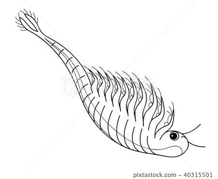 海猴子鹵虫字符水平著色 海猴子鹵虫字符水平著色 40315501
