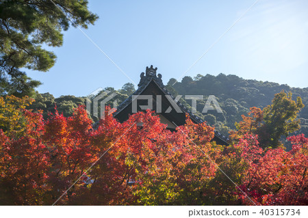 Eikyu of autumn 40315734