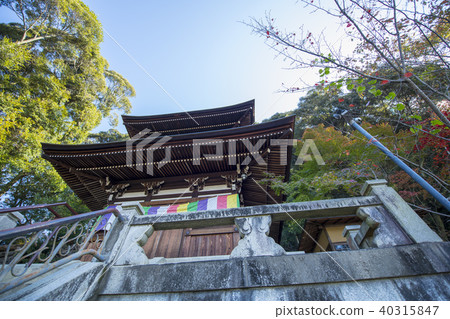 Eikyu of autumn 40315847