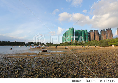 sunset of Coastline Ma On shan 40316440