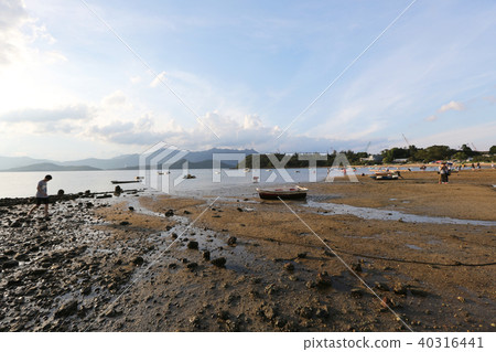 sunset of Coastline Ma On shan 40316441