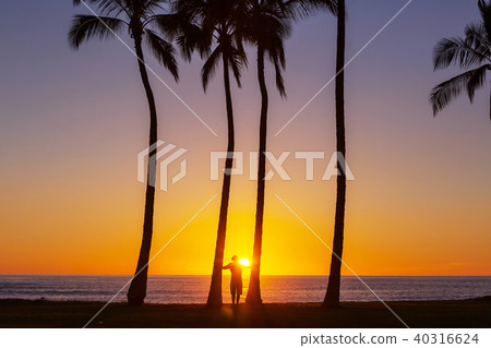 Tropical beach 40316624