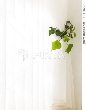 lace curtains 40318228