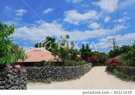 Taketomijima, Okinawa Prefecture 40321039