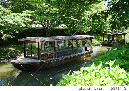 伏見10石井 伏見10石井 40321440