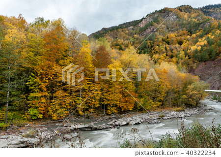 environment, freedom, travelling concept.  40322234