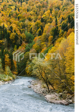 beauty of nature, harmony, landscape concept. 40322235