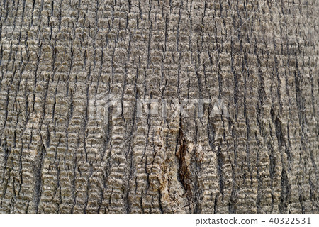 Synthetic material "bark of palm" 40322531
